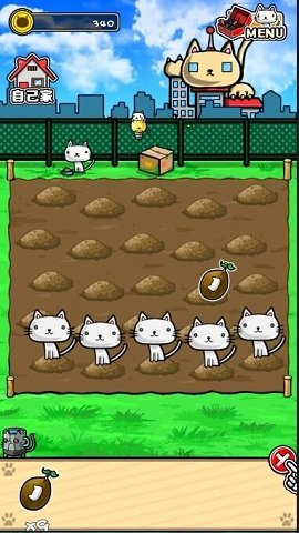 猫咪田种植中文修改版 游戏截图
